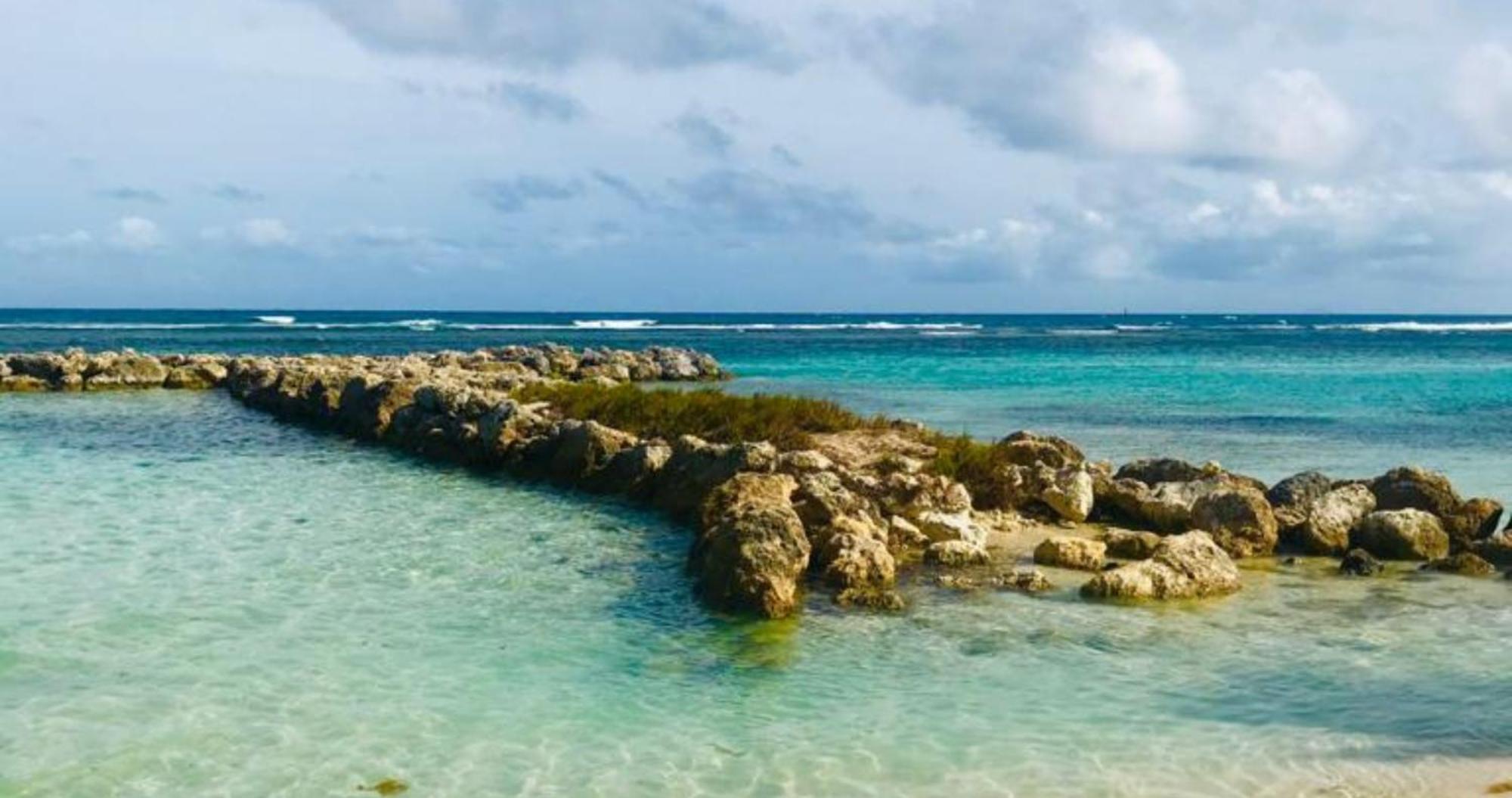 Magnifique Appartement Fleurs Caraibes - 6 Personnes En Residence Avec Piscine Privee - Sainte Anne Buitenkant foto